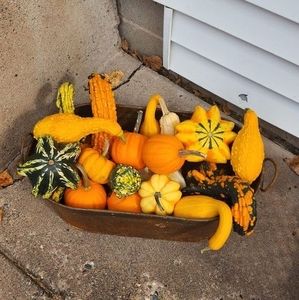 Meet your Posher, Sandra